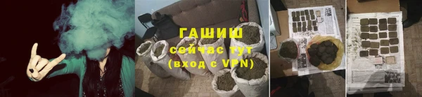 молекула духа Снежногорск