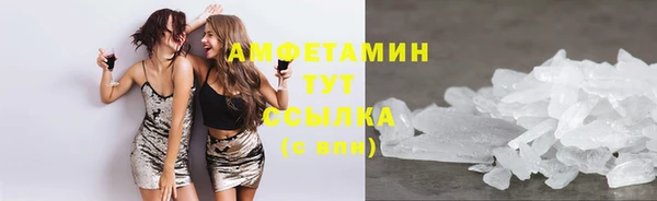 молекула духа Снежногорск